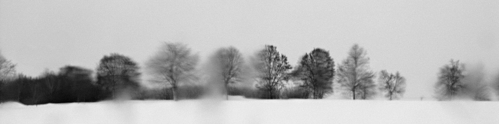 PICT0007u.jpg
