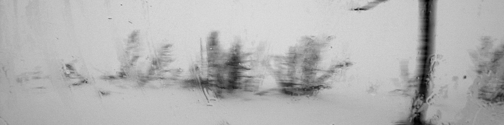 PICT0009u.jpg