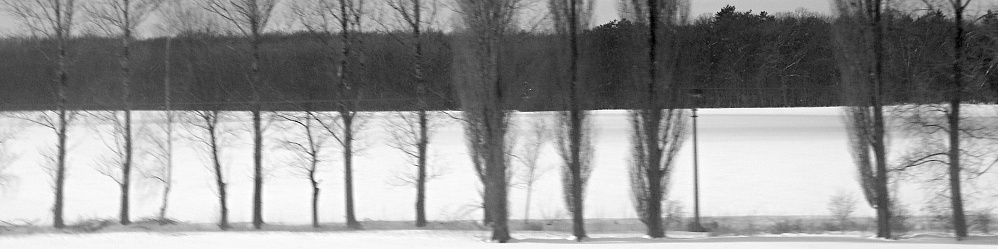 PICT0015u.jpg