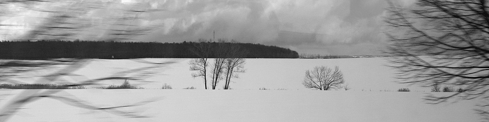 PICT0016u.jpg