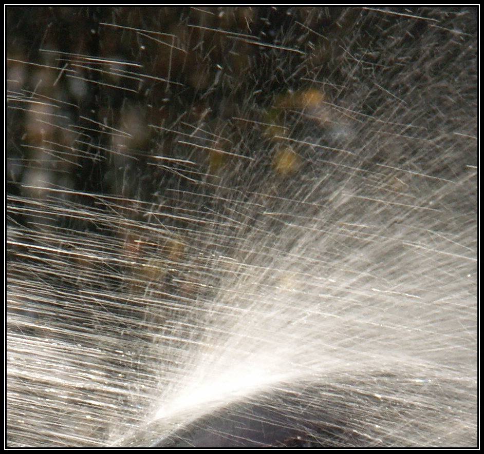 wasser3.jpg