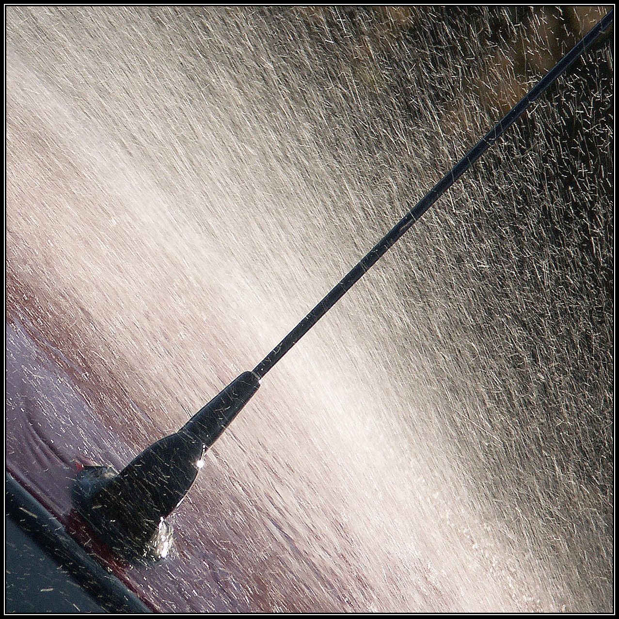 wasser5.jpg