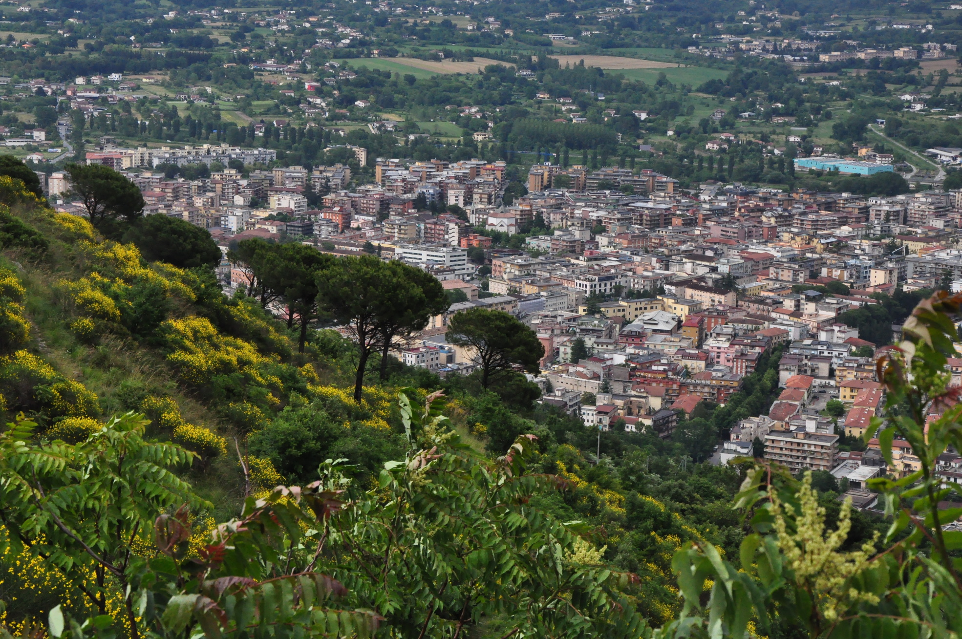 Cassino po desti
